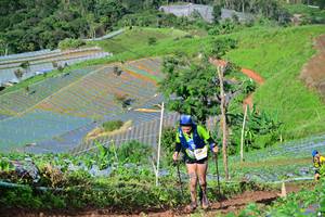 BIB: 
                            <button type="button" onclick="openModal(13380991)" class="btn btn-primary btn-sm float-right btn-popup" data-toggle="modal" data-target=".modal-high-quality">
                        <i class="fas fa-shopping-cart"></i> Add to Cart
                    </button>
                                            <button type="button" onclick="isThisMe(13380991, true)" class="btn btn-success btn-sm float-right btn-popup btn-isme hidden" data-toggle="tooltip" data-placement="bottom" title="นี่คือรูปของคุณใช่ไหม คลิกที่นี่เพื่อเอาเข้าอัลบั้ม">
                        <i class="fas fa-plus"></i> Add to album
                    </button>
                    <button type="button" onclick="isThisMe(13380991, false)" class="btn btn-warning btn-sm float-right btn-popup btn-isnotme hidden">
                        <i class="fas fa-ban"></i> Remove from album
                    </button>